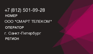8125019928